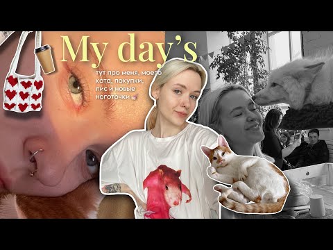 Видео: My day's: немного обо мне, вязании, новых ноготочках и покупках💐