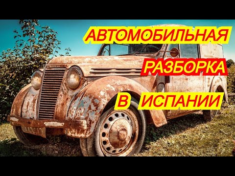 Видео: Бизнес в Испании Как открыть и начать бизнес в Испании Автомобильный бизнес в Испании Авторазборка