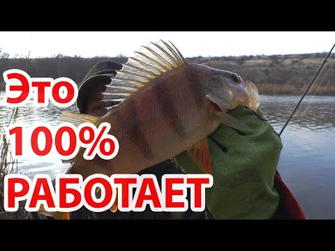 Видео: 100% рабочая ПРОВОДКА на реке