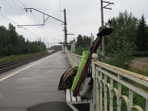 Видео: Рыбалка на Лемболовском озере. 8 сентября 2017 года. Часть первая.