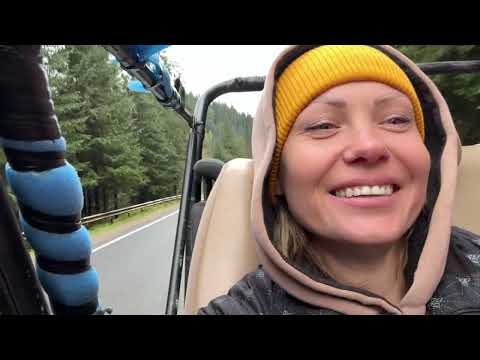 Видео: Полювання на гриби в осінніх Карпатах — природа, гори, пригоди!