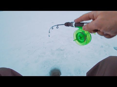 Видео: Удар в руку! Удочка в дугу! Ловля окуня на балансир.