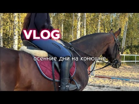 Видео: VLOG✨С конюшни. Как проходят повседневные дни🍂🍁#конюшня #влог