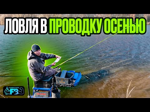 Видео: ЛОВЛЯ В ПРОВОДКУ ОСЕНЬЮ. Душевная рыбалка!