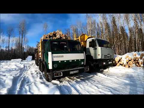Видео: Возим лес. Штурмуем подъёмы, без цепей. 1.
