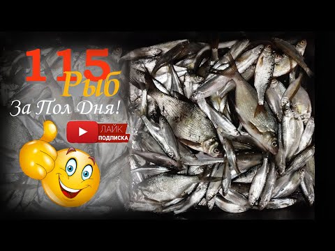 Видео: 115 Рыб За Пол Дня! Верескинский пруд, Рыбалка в Московской области, Химки, Сходня ))
