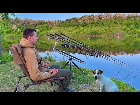 Видео: МИ ЙОГО ДОЧЕКАЛИСЬ! Трофейна ловля коропа та амура. Рибалка в пік нересту