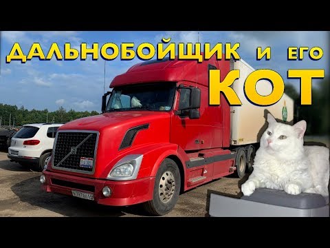 Видео: Купил VOLVO VNL за 800 000 рублей и поехал в первый рейс. Почему Эдик выбрал американца?