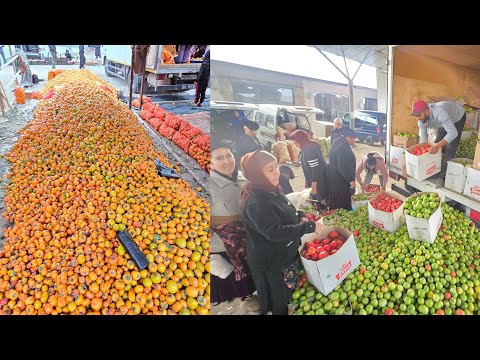 Видео: БУНАКАСИ ХАЛИ БУЛМАГАН | ТУРТКУЛЬ ДЕХҚОН БОЗОР НАРХЛАРИ 22 октября 2024 г.