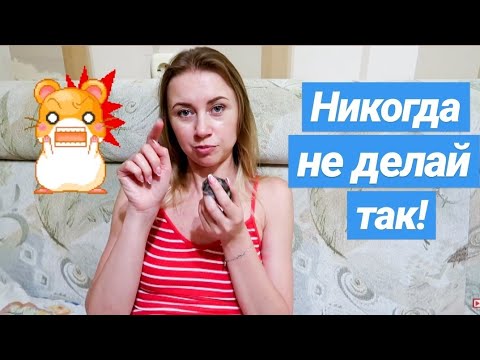 Видео: КАК ПРИРУЧИТЬ ХОМЯКА