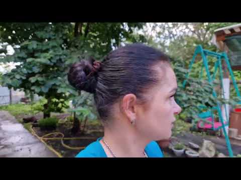 Видео: осталась без хозяина/приготовили с Альбиной оливье, как работает нашумевший антижир