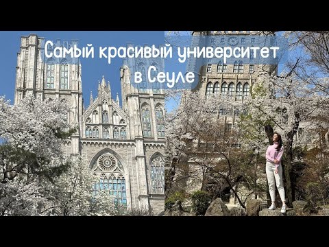 Видео: Цветение вишни в Сеуле/ Кампус университета Кёнхи