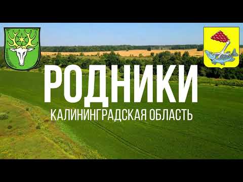 Видео: 4К. Родники. Правдинский район. Калининградская область