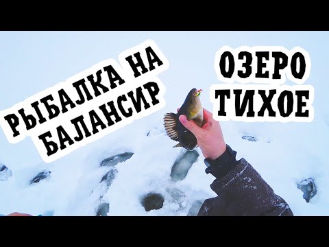 Видео: Рыбалка на крупного окуня .Хороший балансир всегда найдёт трофей #карелия