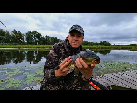 Видео: Кто КЛЮЁТ на ГЛУБИНЕ?! ХЕРАБУНА с ОСОБЫМ послевкусием..|Xinma ZZ339 (19/4,8м)