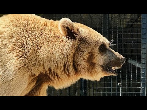 Видео: Прогулка по сентябрьскому Тайгану! 