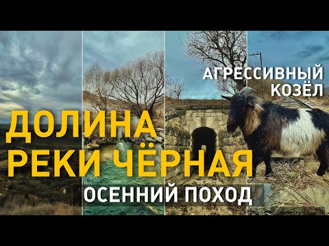 Видео: Долина реки Чёрная. Осенний поход. Агрессивный козёл. 2 кадра 02.12.2021