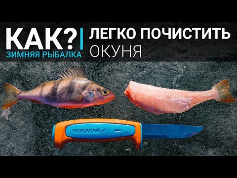 Видео: Как почистить окуня от чешуи легко? Просто, быстро и чисто