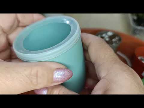 Видео: Пересадка моих новиночек, фиалочек.🪴