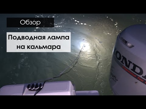Видео: Погружной фонарь для ловли кальмара