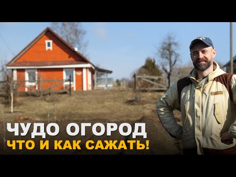 Видео: Соседи по грядкам.