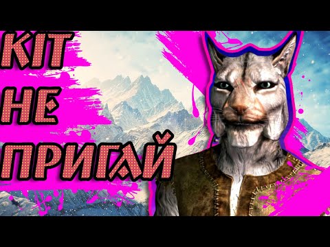 Видео: Про що був Skyrim(сторітейлінг про кота Сніжинку)
