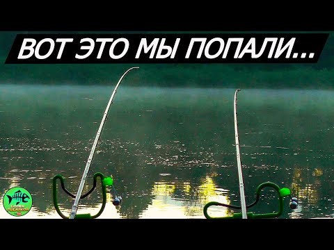 Видео: СРАЗУ ПО ДВА ЗА РАЗ...ВОТ ЧТО БЫВАЕТ КОГДА ЛЕЩ СТАЛ НА ТОЧКУ...