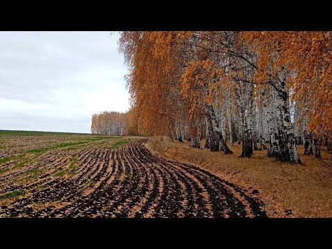 Видео: В поисках ярмарки