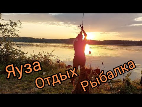 Видео: Рыбалка и семейный отдых на Яузском водохранилище.