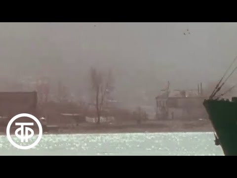 Видео: Мы живем у моря (1982)