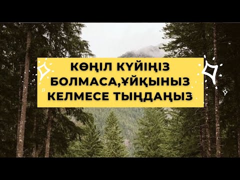 Видео: КӨҢІЛ КҮЙІҢІЗ БОЛМАСА,ҰЙҚЫНЫЗ КЕЛМЕСЕ ТЫҢДАҢЫЗ. Медитация. Мантра #медитация #қазақша