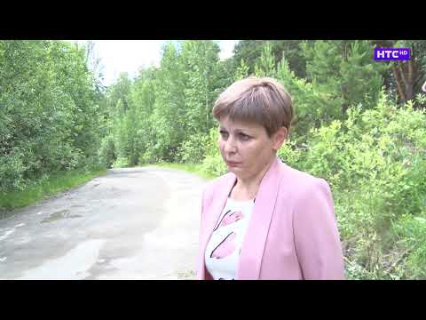 Видео: Автобус в садах за рекой Грязнухой