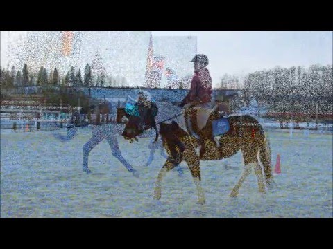 Видео: Немного из жизни КСК Вертикаль