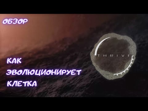 Видео: Как эволюционирует клетка | Thrive | Обзор