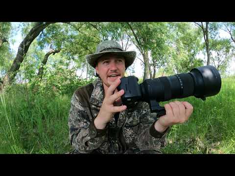 Видео: ОБЗОР Canon R5 спустя полгода видеосъёмок диких птиц
