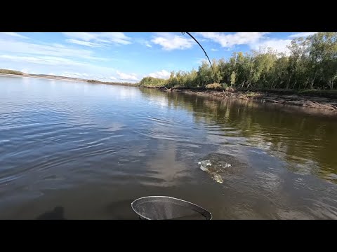 Видео: Закрытие летнего сезона | Рыбалка в Техтюре | Рыбалка в Якутии