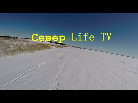 Видео: Налим! Беда и выручка. Налим на стук,  на севере 2022.