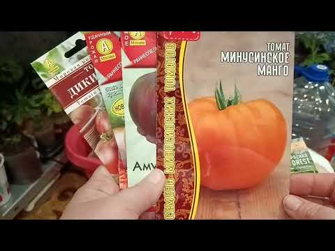Видео: 01.04.2024г. Обзор рассады . 🤦опять семена 🌹🍅. купила гортензию, смородину, клубнику.