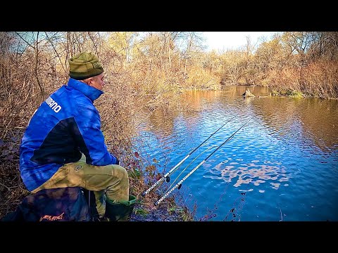 Видео: Ловля КРУПНОГО КАРАСЯ НАПЕРЕДОДНІ ЗИМИ НА ПОПЛАВОК!