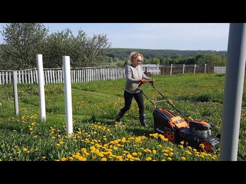 Видео: Грядки! Урааа у меня самоходная газонокосилка!
