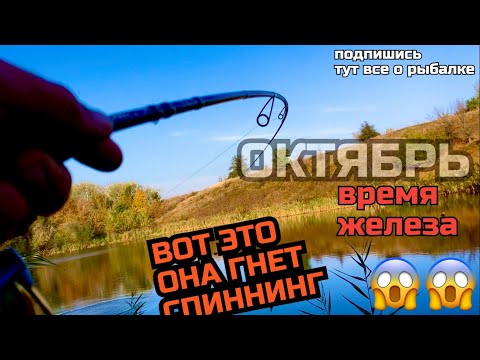 Видео: ОСЕННЯЯ ЩУКА ПРЕДПОЧИТАЕТ ЖЕЛЕЗО 🎣. МЕПС ПРОСТО КОСИТ ЩУКУ 😱. Поставил эту пиманку и понеслось