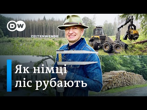 Видео: Чому в Німеччині немає нелегальної вирубки - "Відкривай Німеччину з Михайлом Малим" | DW Ukrainian