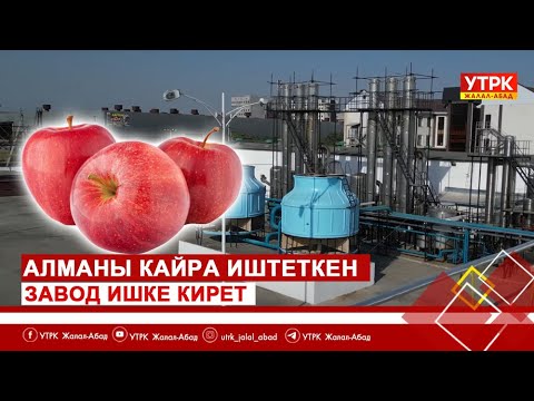 Видео: Алманы кайра иштеткен завод ишке кирет