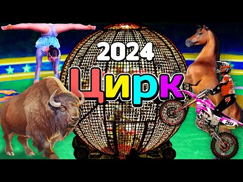 Видео: Цирк 2024 🌐 Девушка в Шаре Смелости 🚀 Человек Ракета 🦬 Первое в Мире Баффало Шоу