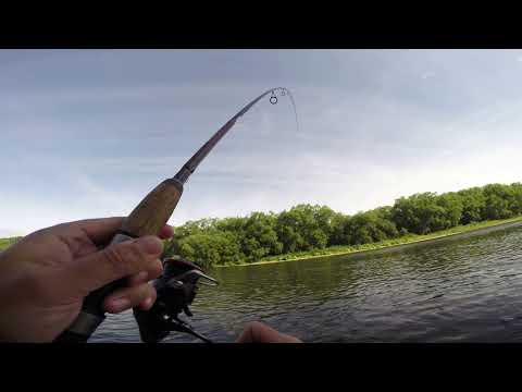 Видео: Сахалин. Ловля горбуши. Заход первой кеты в реки.