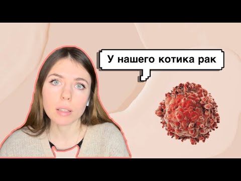 Видео: РАК У КОТА. ПЛОСКОКЛЕТОЧНАЯ КАРЦИНОМА. Лечение. 2ч.