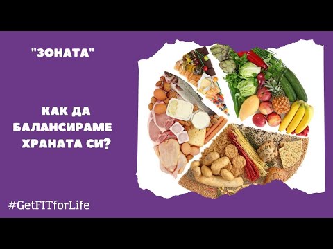 Видео: Как да балансираме храната си по Зоната