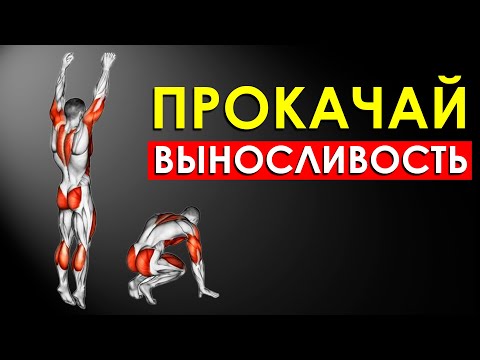 Видео: Как Тренировать Выносливость? Лучшие Упражнения для Развития Выносливости