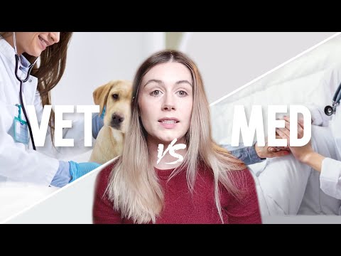 Видео: ВЕТЕРИНАРИЯ VS МЕДИЦИНСКИЙ ВУЗ - Почему я не пошел в медицинский вуз...