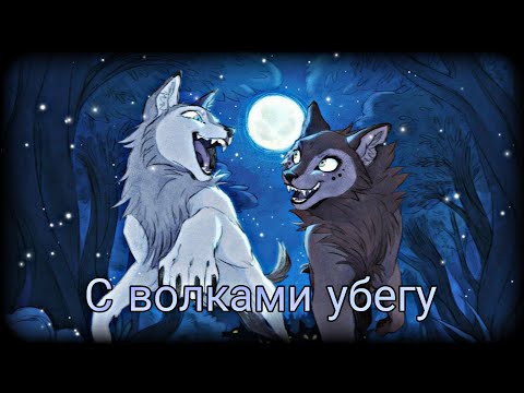 Видео: Wolfwalkers "С волками убегу" 🐺 PMV